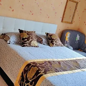 Séjour chez l'habitant Dans Maison Individuelle Avec Rez-de-chaussee Partage - Cuisine, Salle, Salon Et Salle De Bains, Saint-Brieuc
